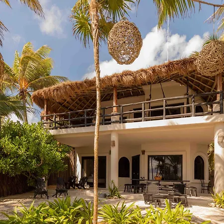 Nest Tulum