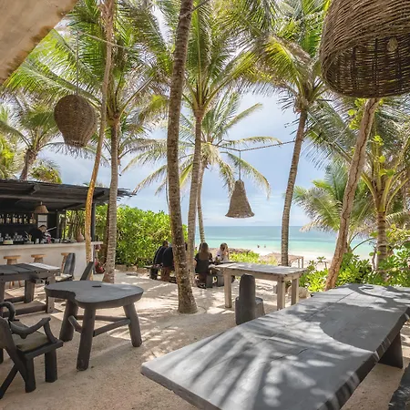 Nest Tulum