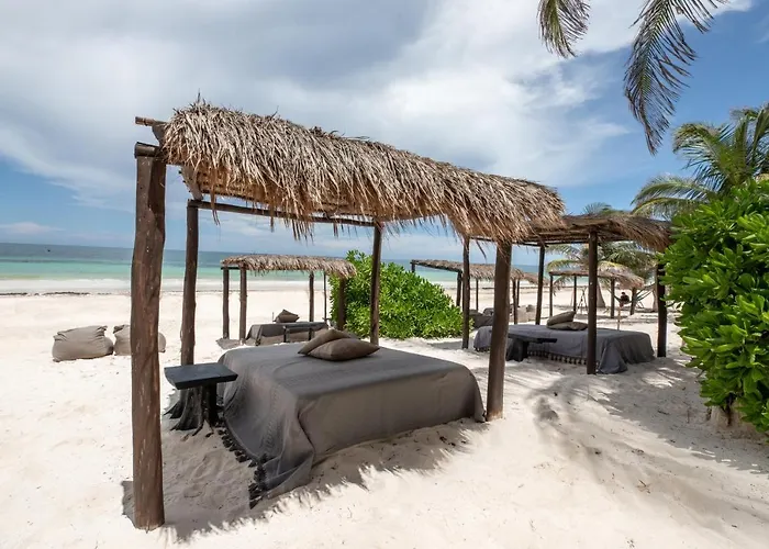 Nest Tulum