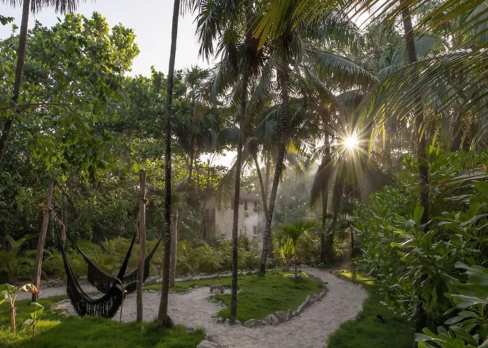 Nest Hotel Tulum