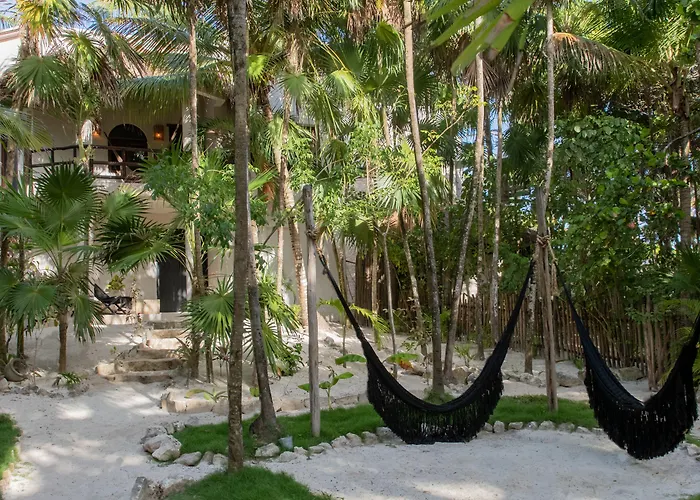 Hotel Nest 4*
